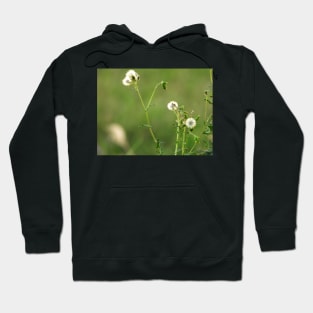 weeds Hoodie